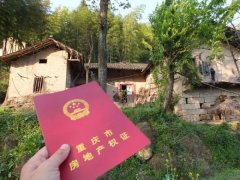 <b>不克不及让耕地削减</b>