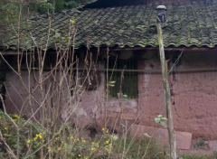 种环境正在农村是比力常见的