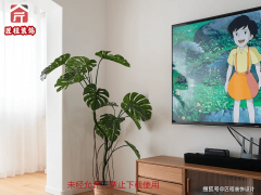 <b>过结合多家出名厂家合做</b>